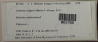 Image Associated With the Occurence